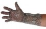 xium-short-cuff-palm-view_1